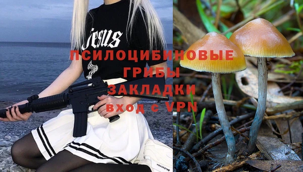 2c-b Абдулино