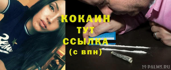 дмт Абаза