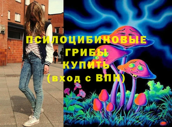 2c-b Абдулино