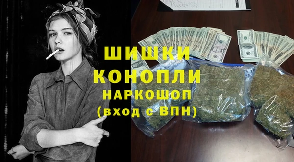 дмт Абаза