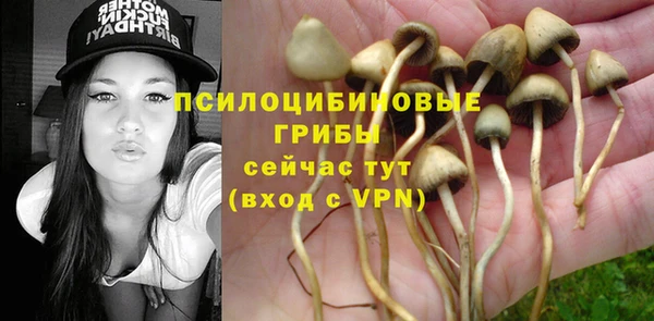 2c-b Абдулино