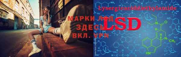 дмт Абаза