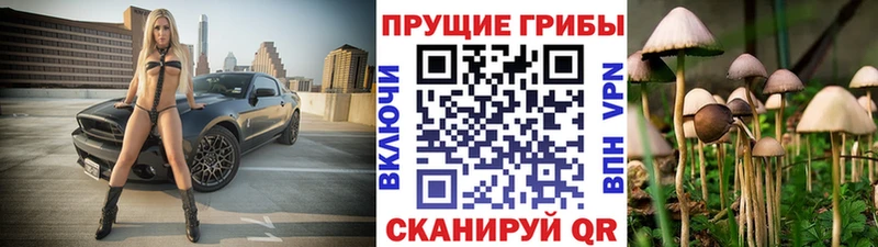 Псилоцибиновые грибы мухоморы  Иркутск 
